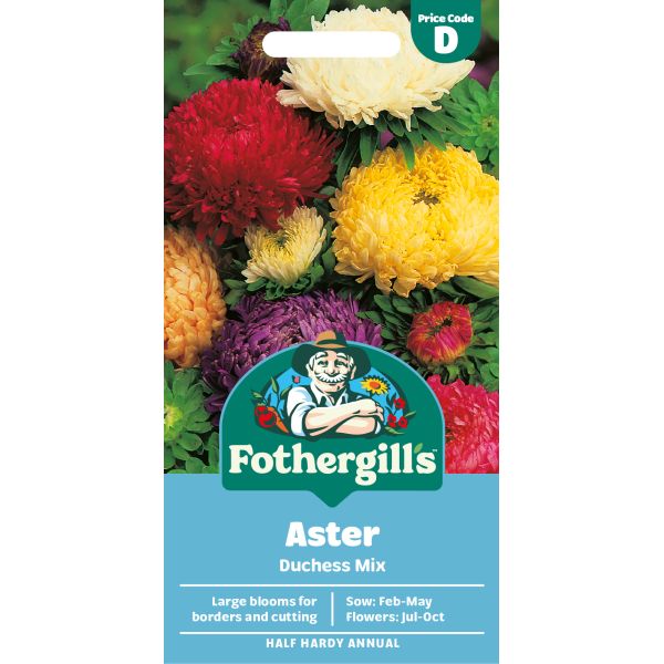 Aster Duchess Mixed Seeds