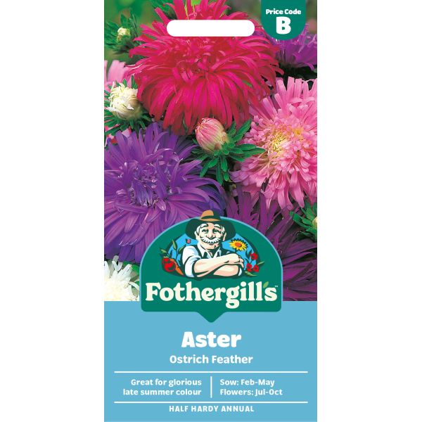 Fothergills Aster Ostrich Feather seed packet with colourful flowers on a white background
