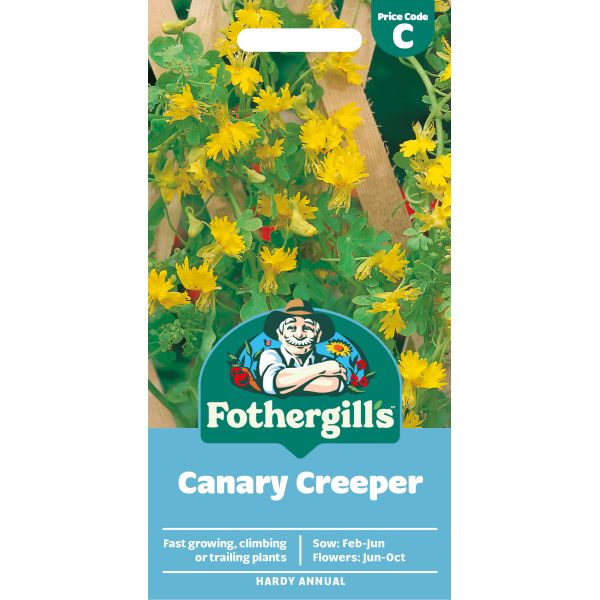 Fothergills Canary Creeper seed packet with branding and product details.