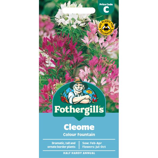 Fothergills Cleome Colour Fountain seed packet with colorful flowers on a white background