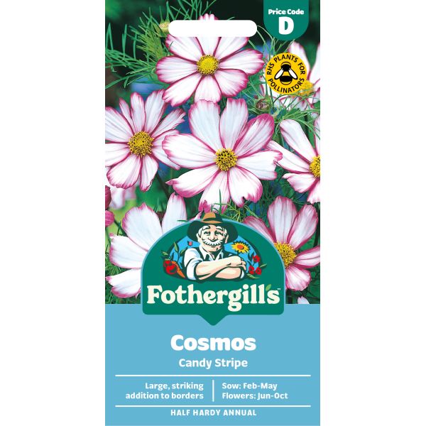 Fothergills Cosmos Candy Stripe seed packet with pink flowers on a white background