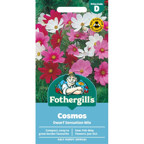 Fothergills Cosmos seed packet with colourful flowers on a white background