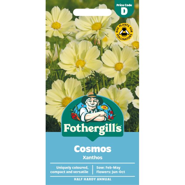 Fothergills Cosmos Xanthos seed packet with images of yellow flowers on a white background