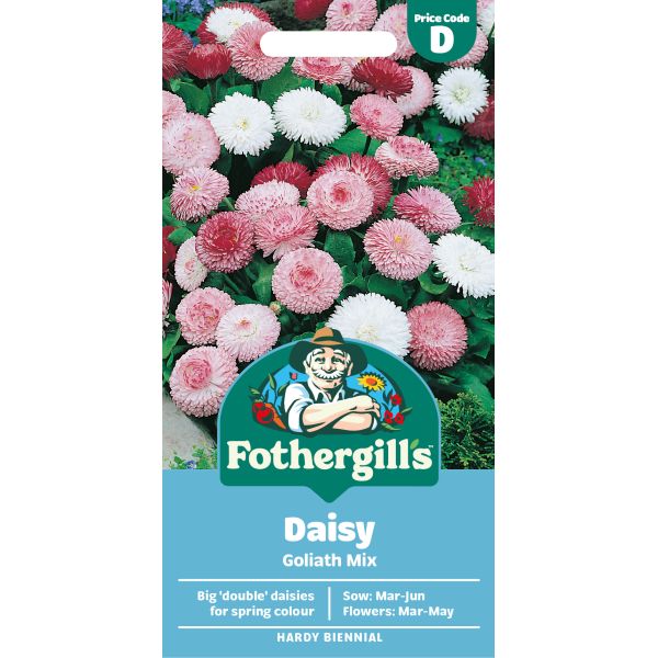 Fothergills Daisy Goliath Mix seed packet with colorful daisies on a white background