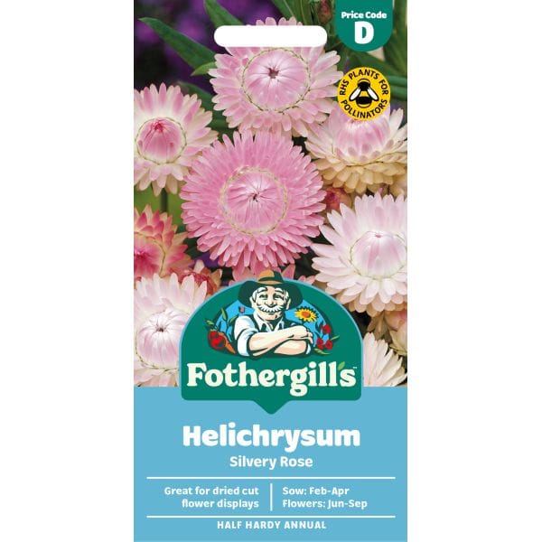 Fothergills Helichrysum Slivery Rose seed packet with floral design on a white background