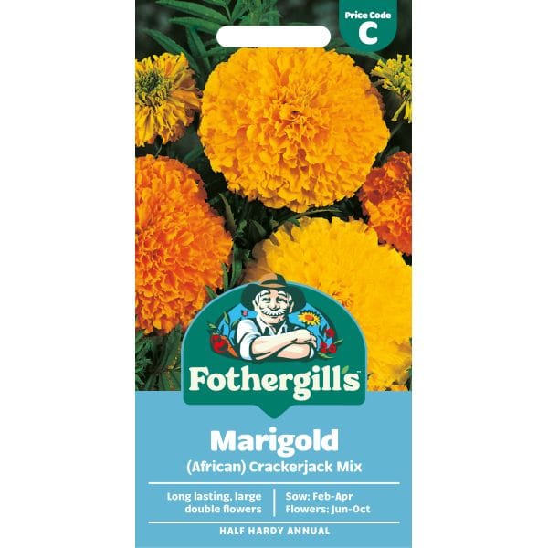 Fothergills Marigold seed packet with images of marigolds on a white background