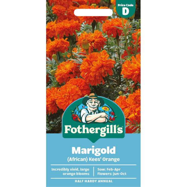 Marigold (African) Kees' Orange Seeds