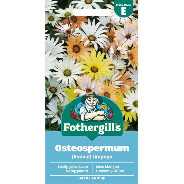 Fothergills osteospermum seed packet with colorful flowers on a white background