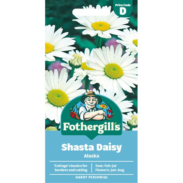 Chrysanthemum Shasta Daisy Alaska Seeds