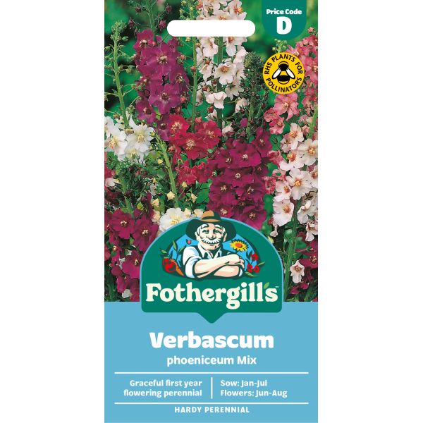 Fothergills Verbascum phoeniceum mix seed packet with colorful flowers on a white background