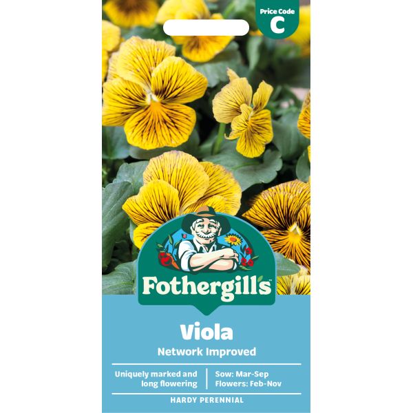 Viola Network Improved Flower Seeds