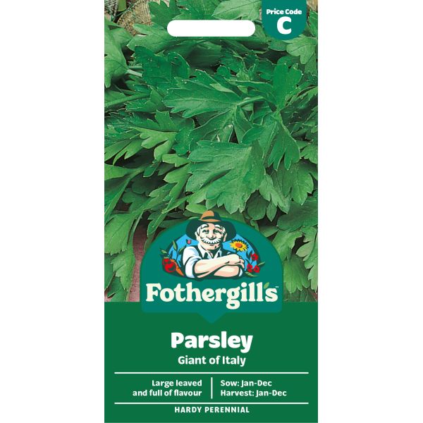 thumbnail image 2 of Everwilde Farms 500 Organic Italian Giant Parsley Seeds – Heirloom In Mylar Packet 2 of 6