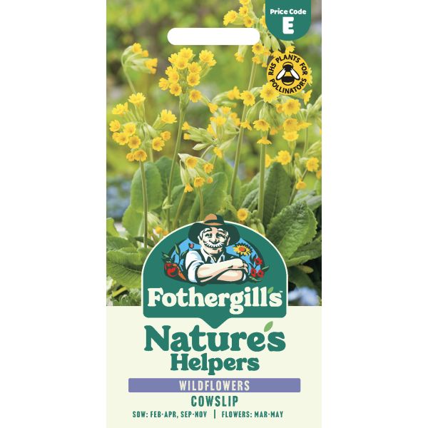 Natures Helpers Primula Cowslip Seeds