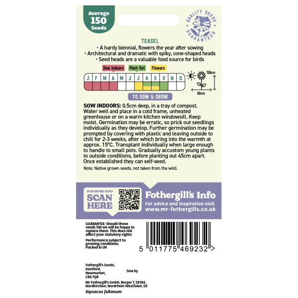 Seeds packet for Teasel with planting instructions and Fothergills branding