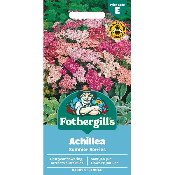 Fothergills Achillea Summer Berries plant packet with colorful flowers on a white background