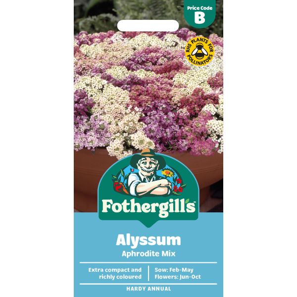 Alyssum Aphrodite Mixed Flower Seeds
