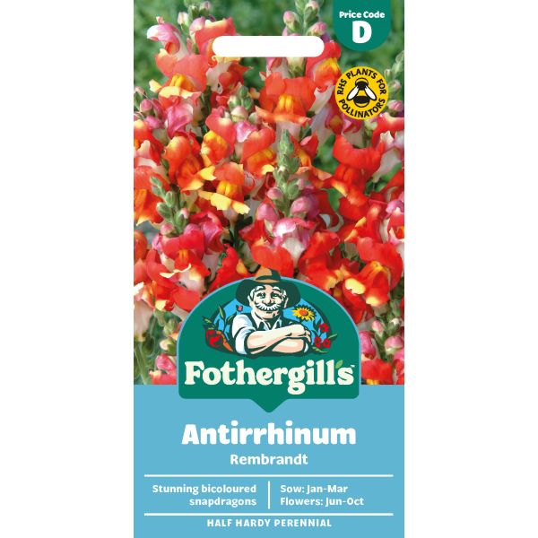 Antirrhinum Rembrandt Seeds
