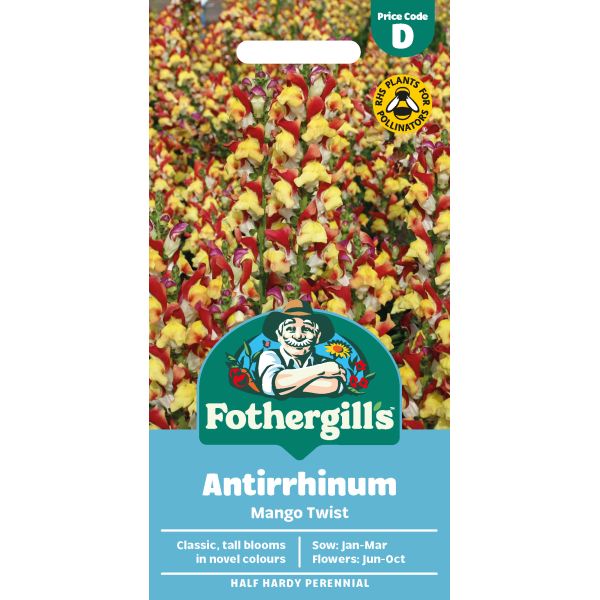Antirrhinum Mango Twist Flower Seeds