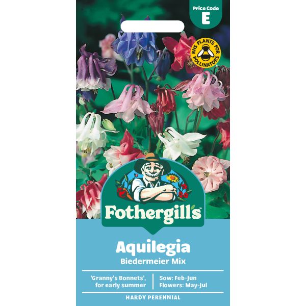 Aquilegia Biedermeier