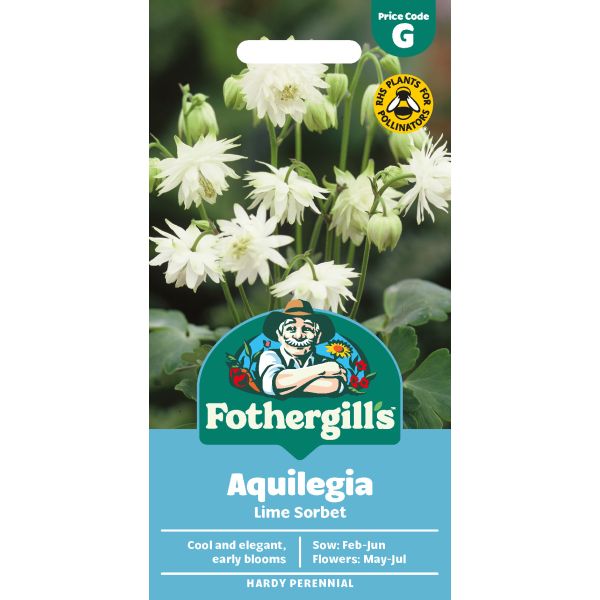 Aquilegia Lime Sorbet Seeds