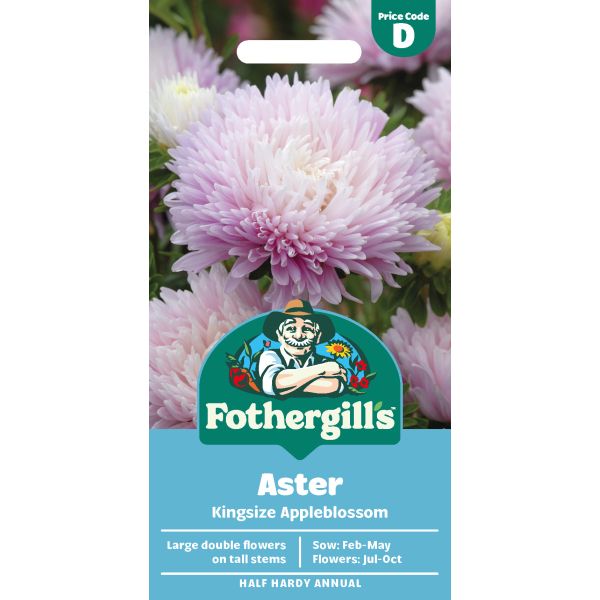Aster Kingsize Appleblossom Seeds