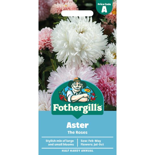 Aster The Roses Flower Seeds
