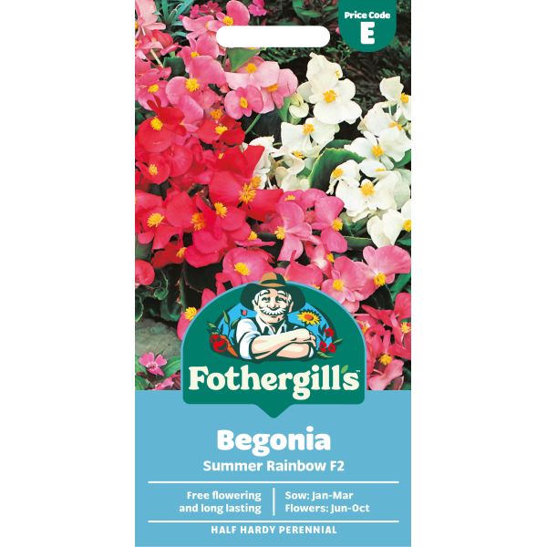 Begonia Summer F2 Seeds
