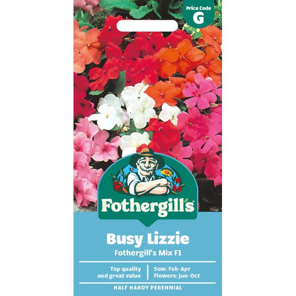 Busy Lizzie Fs F1 Seeds