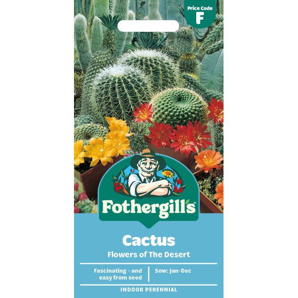 Cactus Flowers Desert