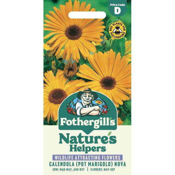 Calendula Pot Marigold Nova Seeds