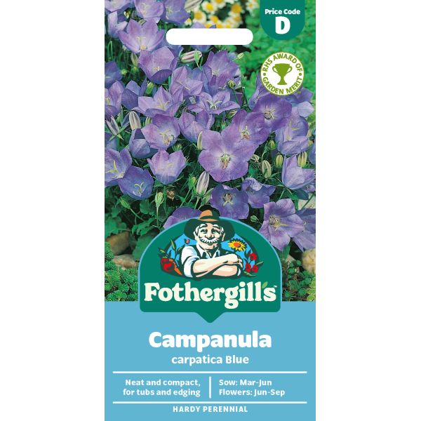 Campanula Blue Seeds