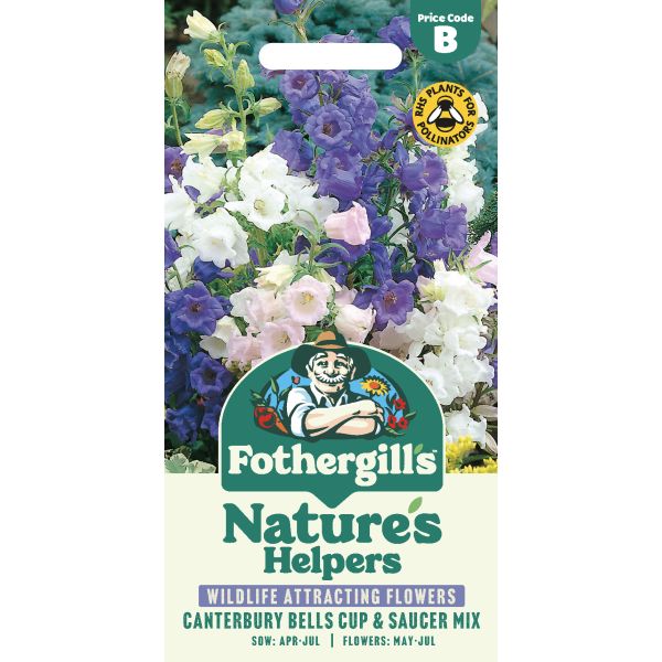 Canterbury Bells Cup & Saucers Seeds