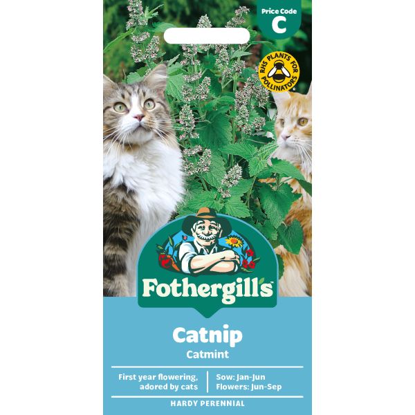 Nepeta Catnip Seeds