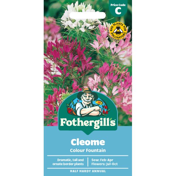 Cleome Fountain Seeds