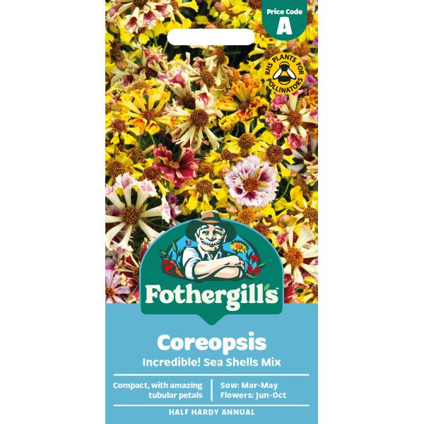 Coreopsis Incredible! Sea Shells Mix Flower Seeds