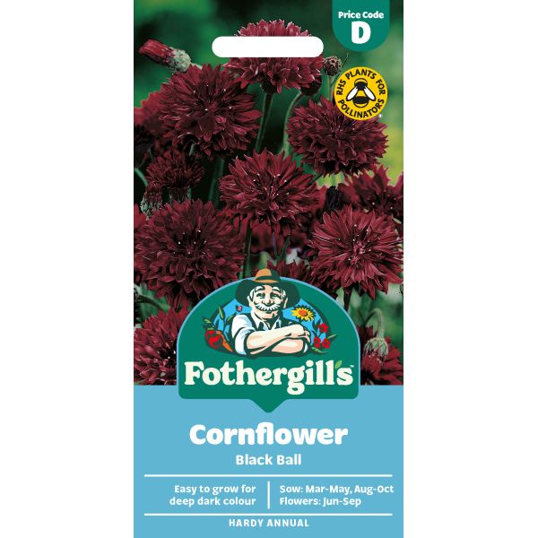 Cornflower Black Ball Seeds