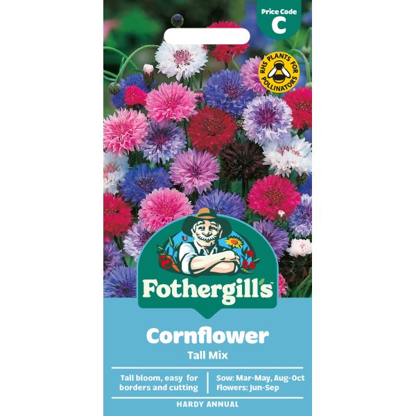 Cornflower Tall Seeds
