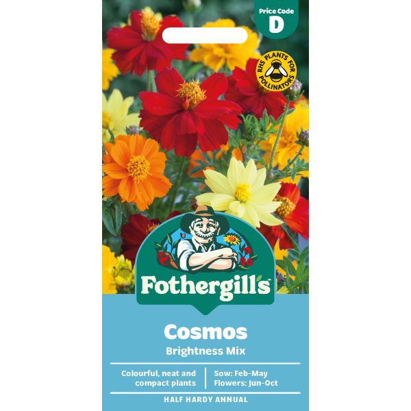 Cosmos Brightness Mixed Seeds
