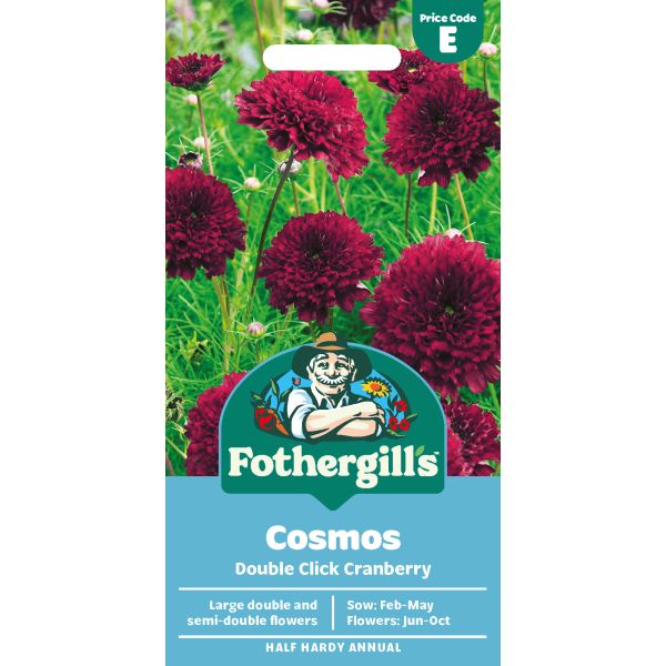 Cosmos Double Click Cranberries Seeds