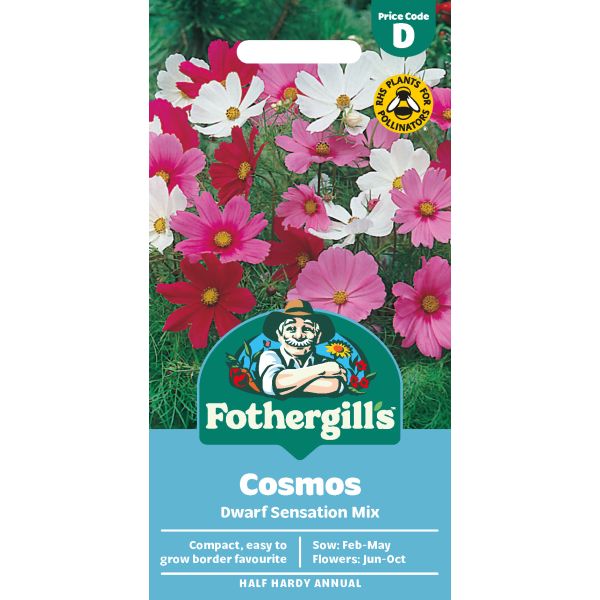 Cosmos Dwarf Sensation Seeds