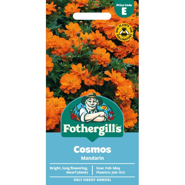 Cosmos Mandarin Flower Seeds