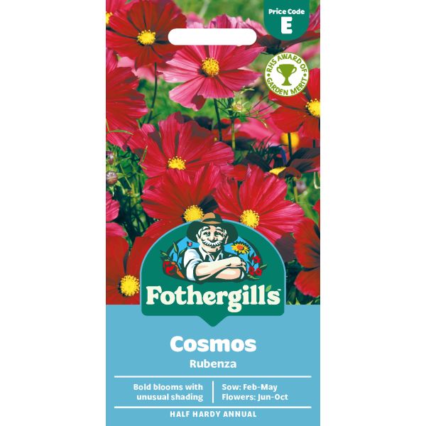 Cosmos Rubenza Seeds