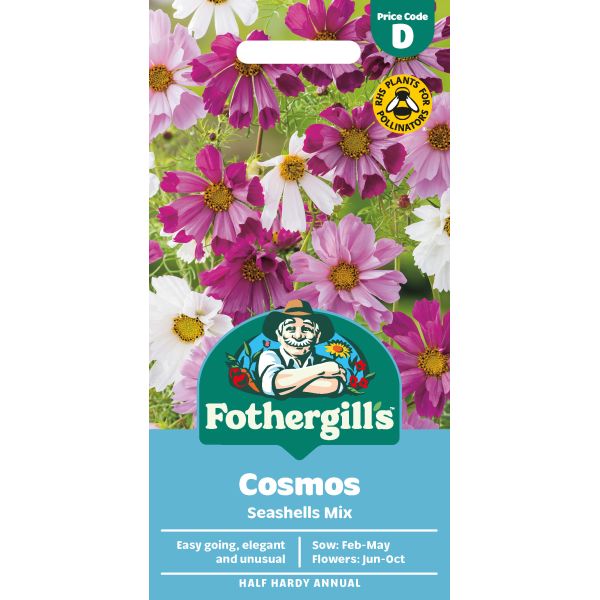 Cosmos Seashells Seeds