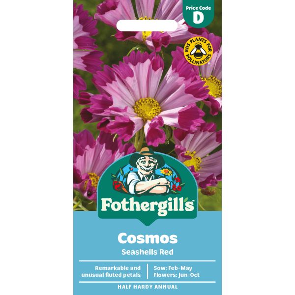 Cosmos Seashells Red Seeds