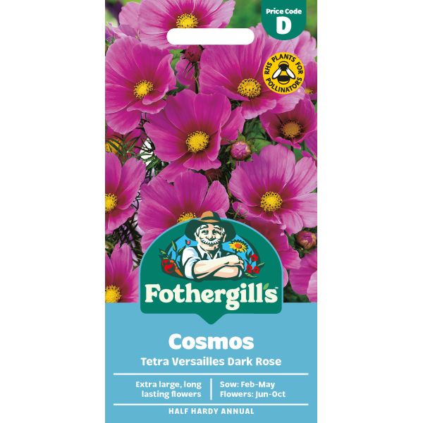 Cosmos Tetra Versailles Dark Rose Seeds