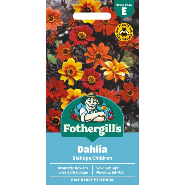 Dahlia Bishops