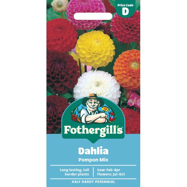 Dahlia Pompon Seeds