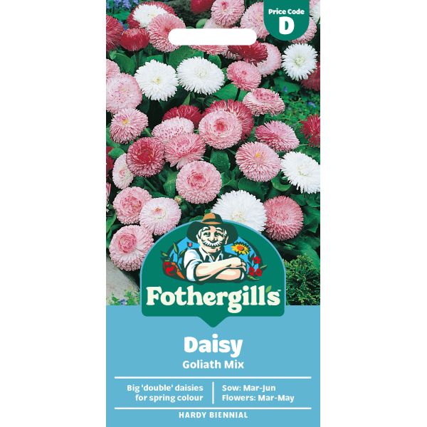 Bellis Goliath Mixed