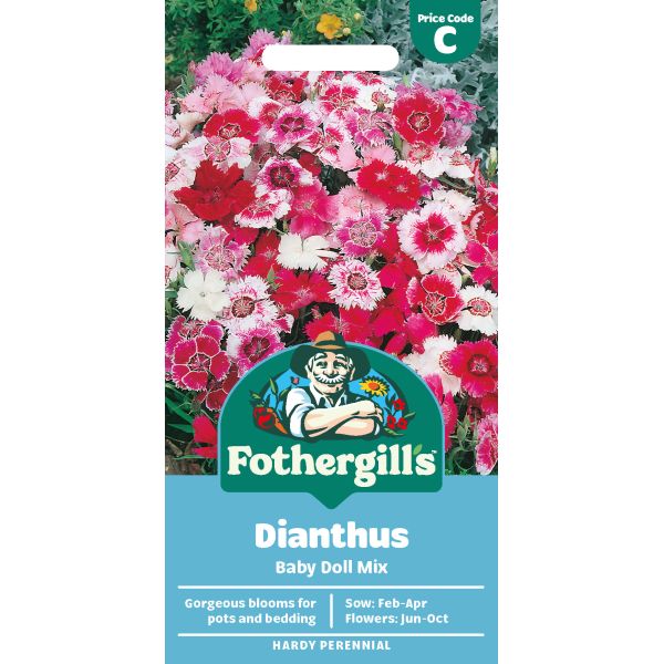 Dianthus Doll Seeds