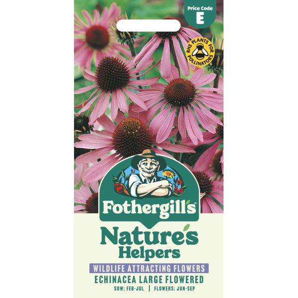 Echinacea Large Flowered Coneflower Seeds